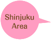 Shinjyuku Area