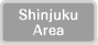 Shinjyuku Area