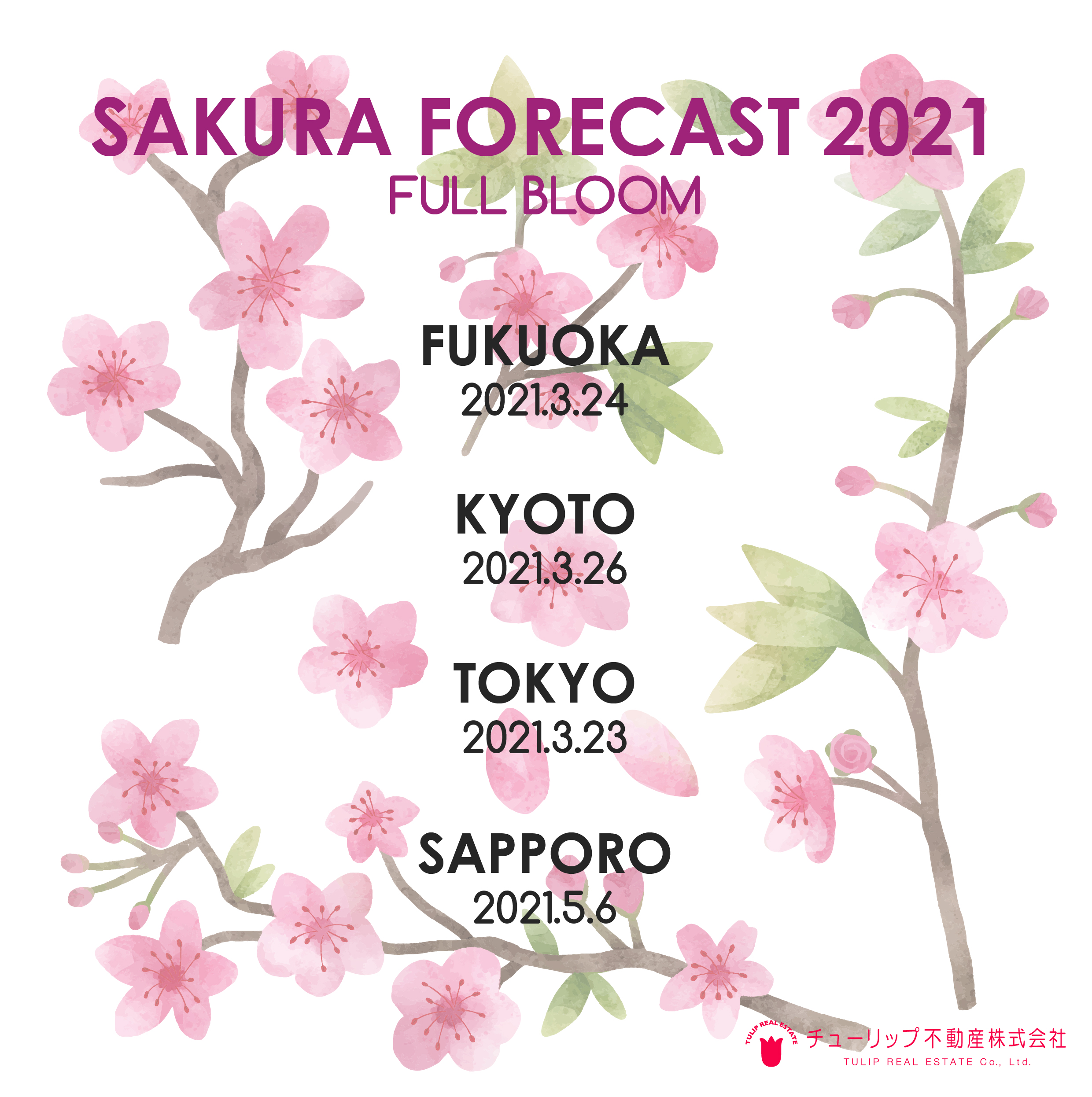 Sakura opening days