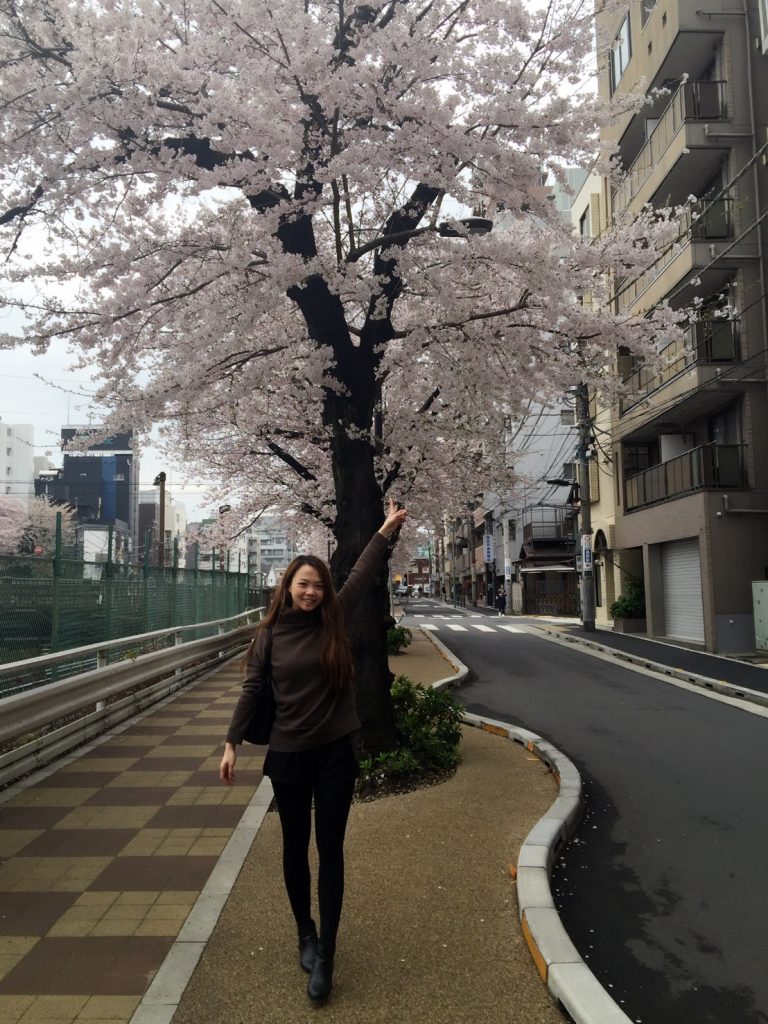 Moving in Cherry Blossoms