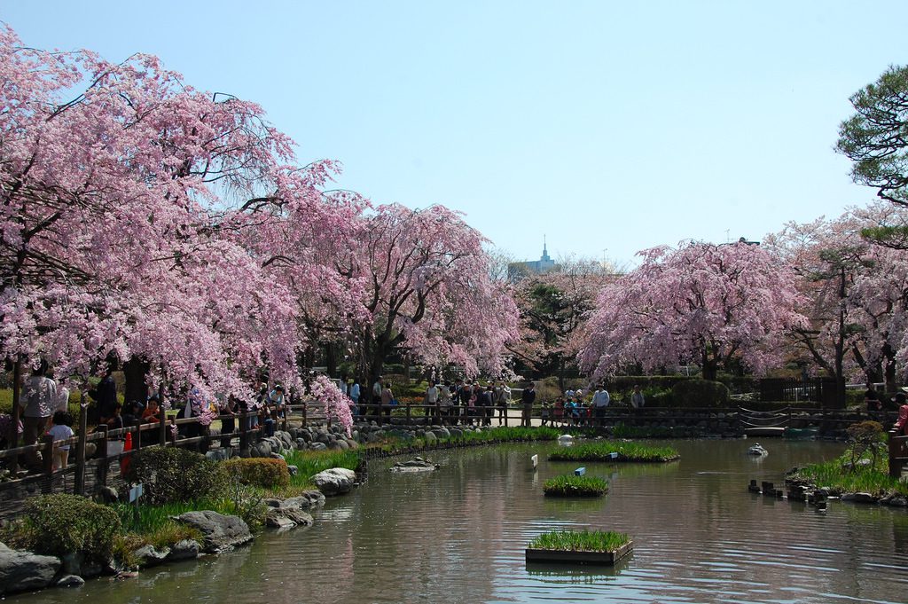 Setagaya-Park-Kinuta