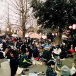 Nakano in bloom