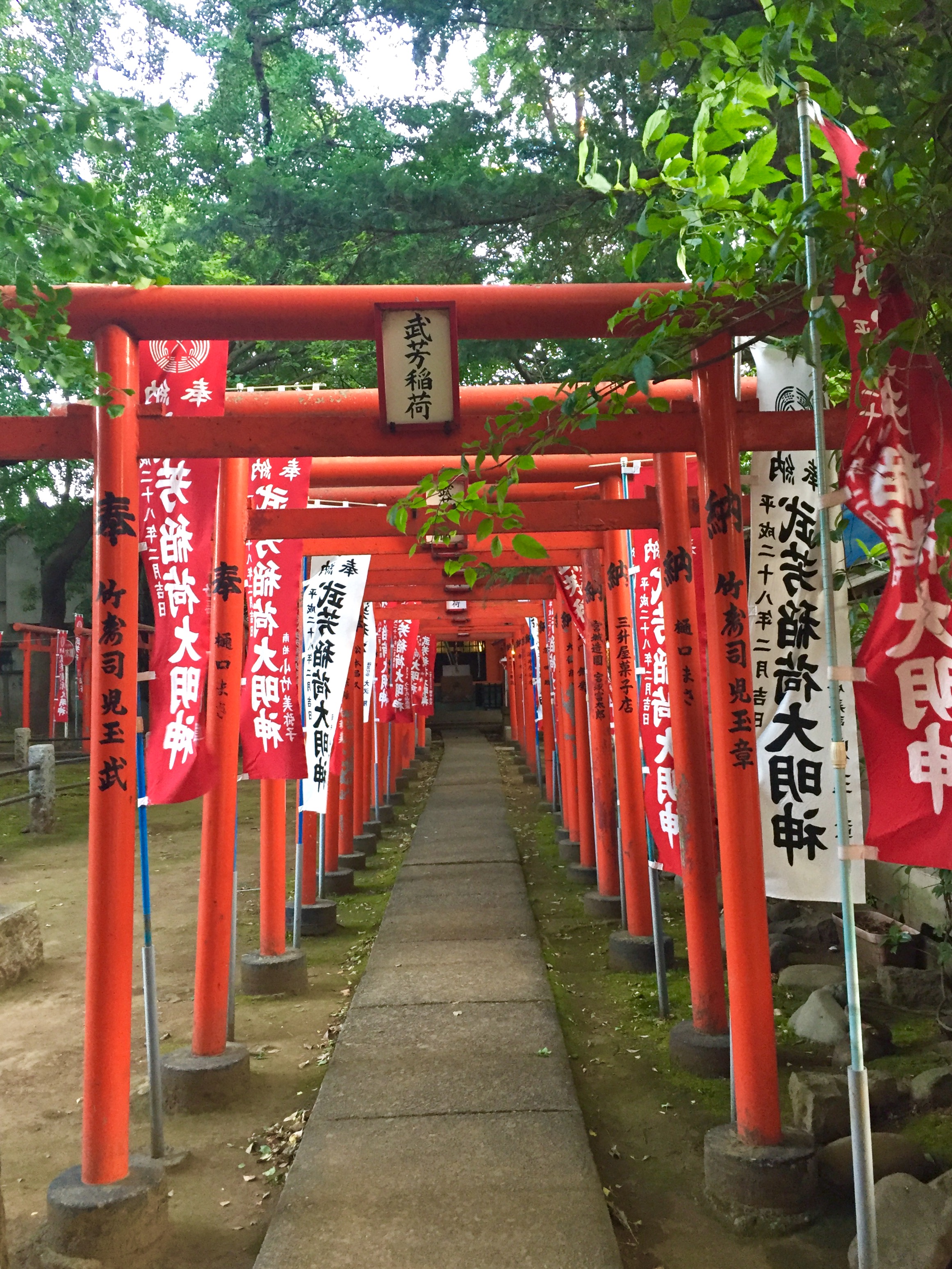 Interview Resident in Sharehouse in Zoshigaya Toshima-ku Tokyo