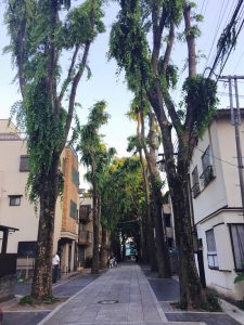 Interview Resident in Sharehouse in Zoshigaya Toshima-ku Tokyo