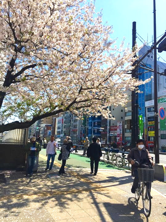 Sugamo Hidden gems Tokyo